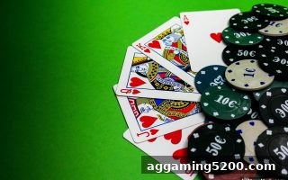 博彩公司信誉揭秘：新手玩骰宝不再紧张，从心态到策略的完整攻略